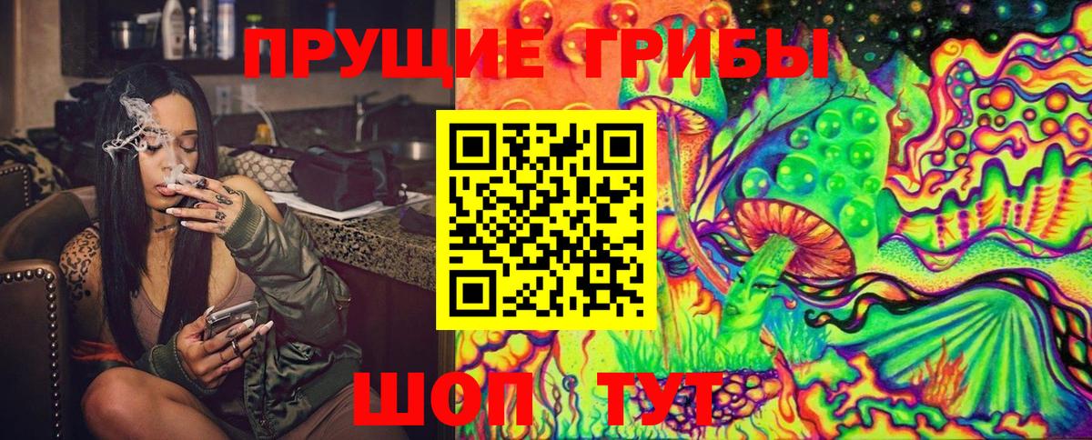 Галлюциногенные грибы Psilocybine cubensis Кирово-Чепецк