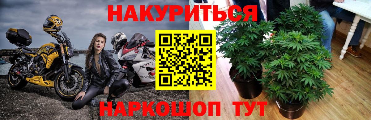 Шишки марихуана Bruce Banner Кирово-Чепецк